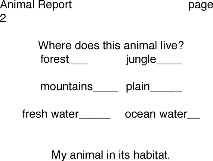 Animal Report Template 2 Page 2