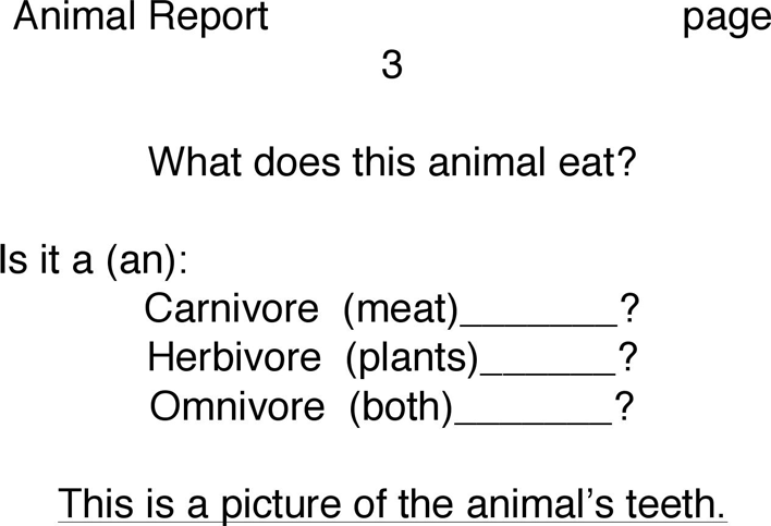 Animal Report Template 2 Page 3