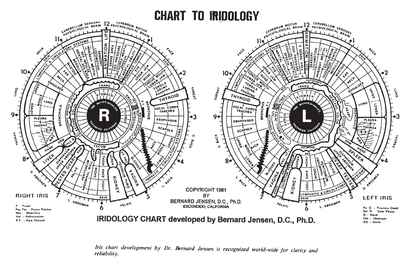 Iridology Chart 2