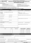 Individual Tax Form