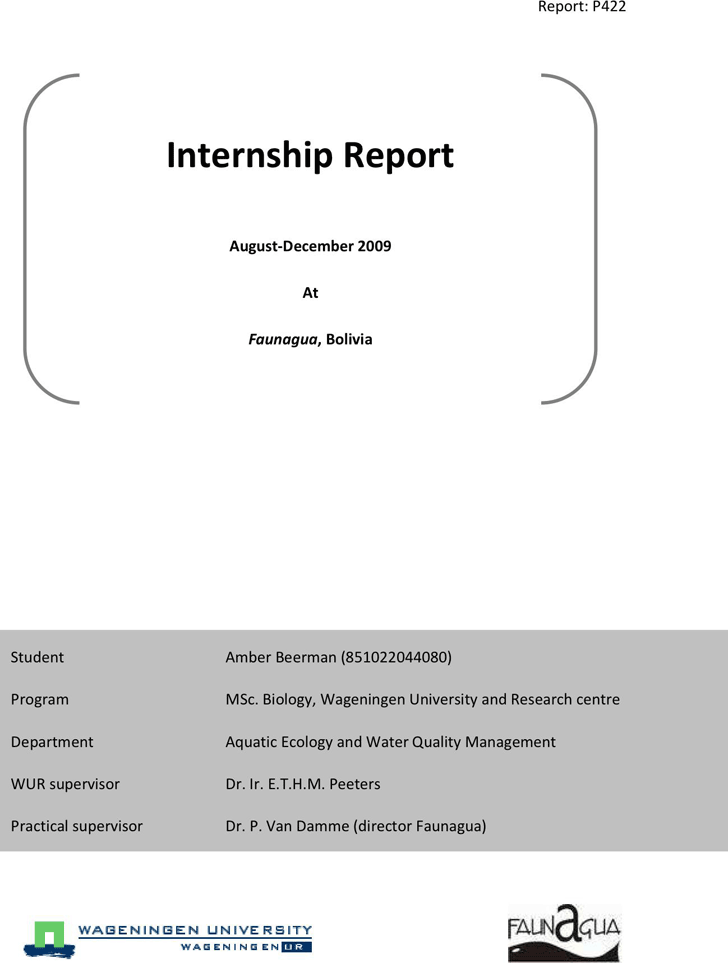 Internship Report 3