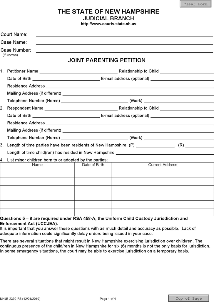 New Hampshire Parenting Petition (Joint) Form