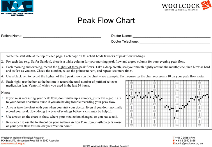 Peak Flow Chart 1