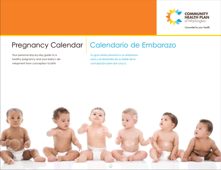 Pregnancy Calendar 2