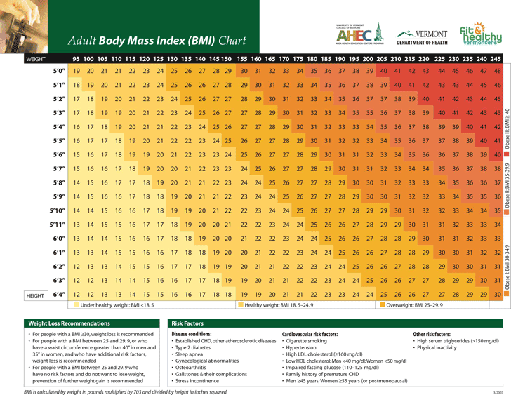 Free Adult Body Mass Index (BMI) Chart PDF 704KB 2 Page(s)