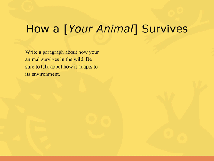 Animal Report Template 1 Page 7