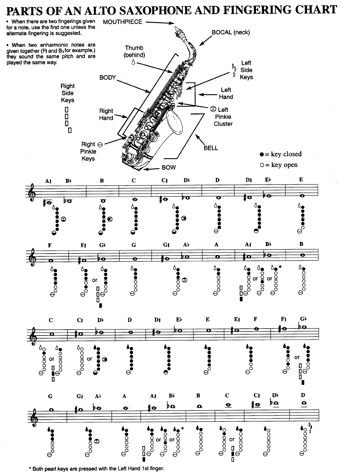 Free Parts Of An Alto Saxophone And Fingering Chart PDF KB Page S