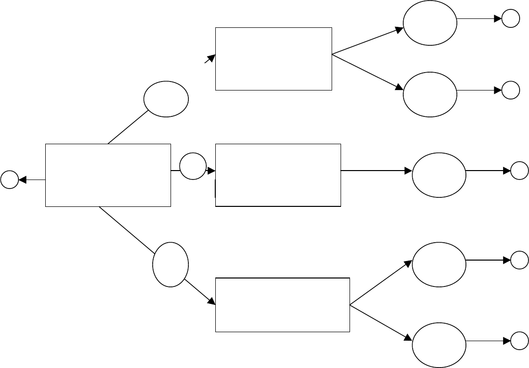 Decision Tree Template 3
