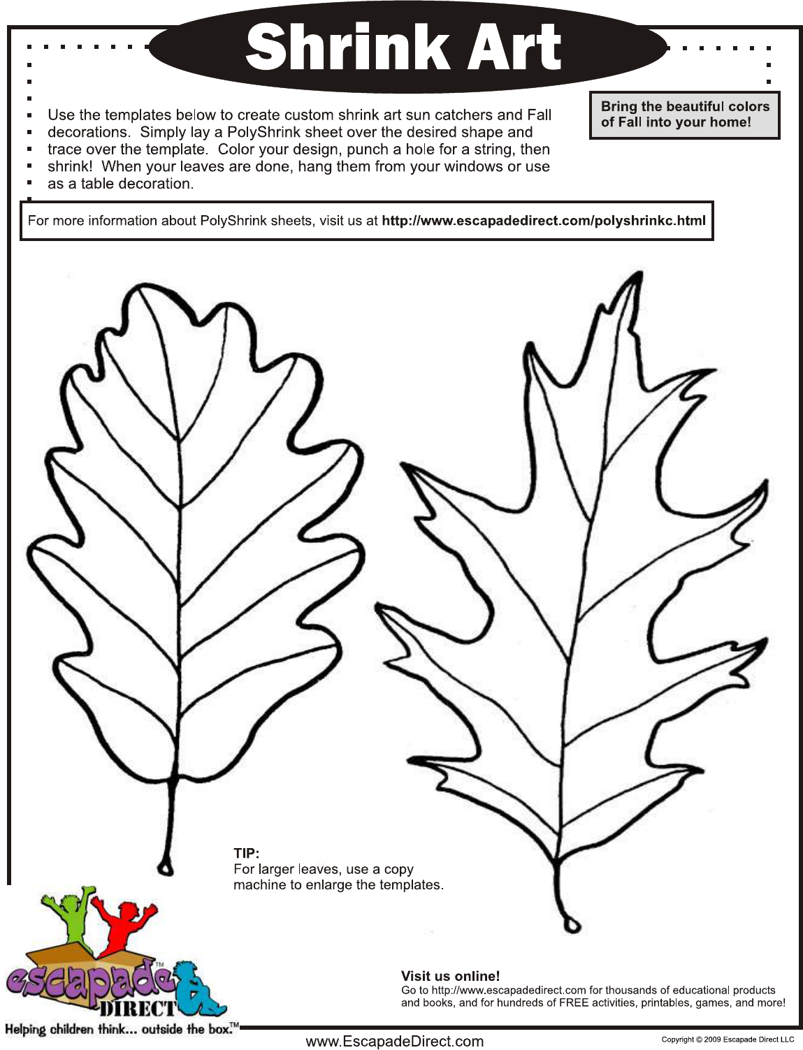 Free Leaf Template - PDF | 1323KB | 4 Page(s)