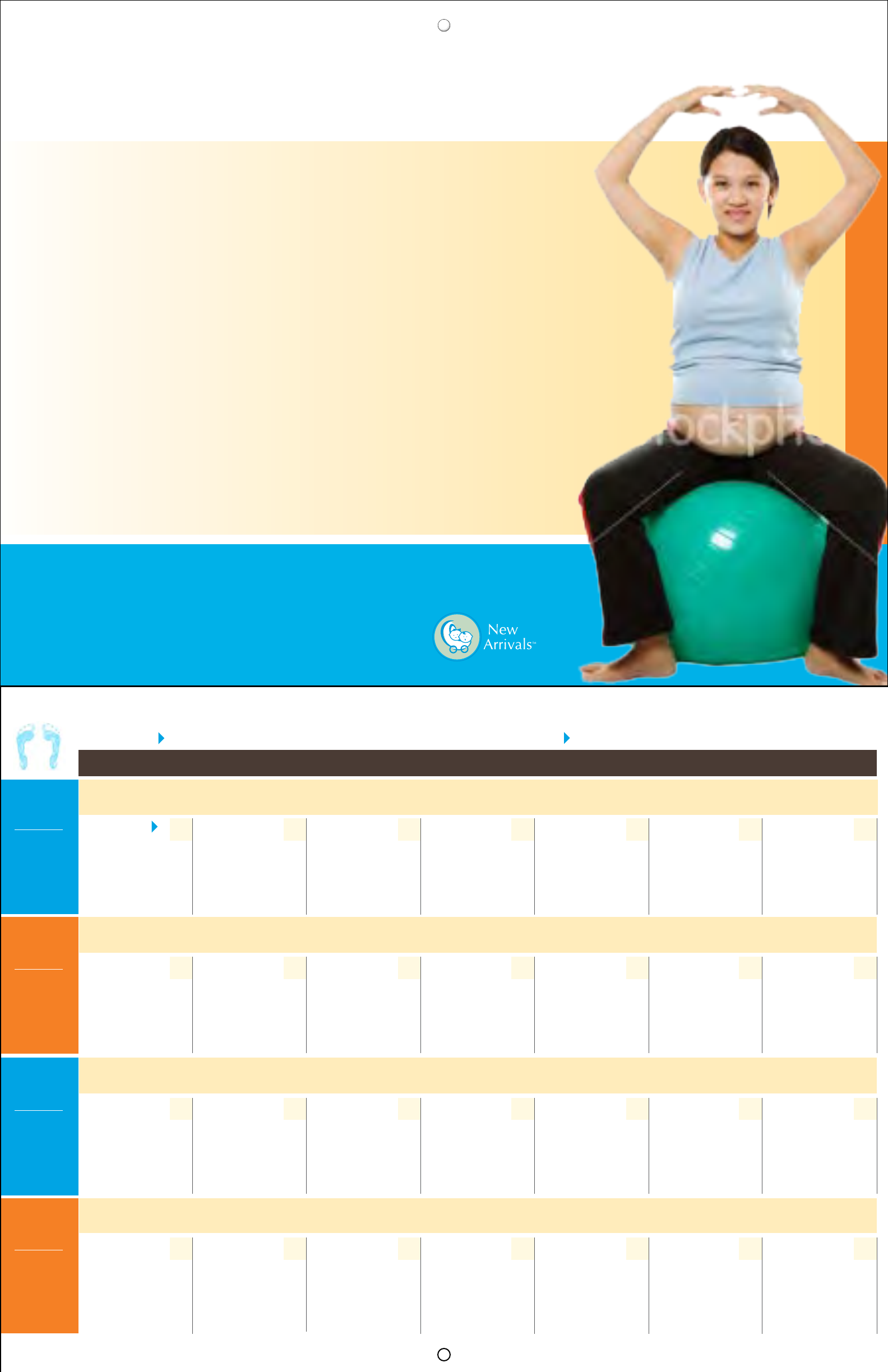 Pregnancy Calendar 2