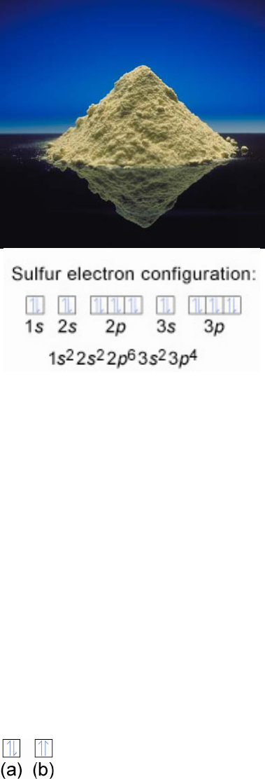 Electron Configurations of Atoms in The Ground State