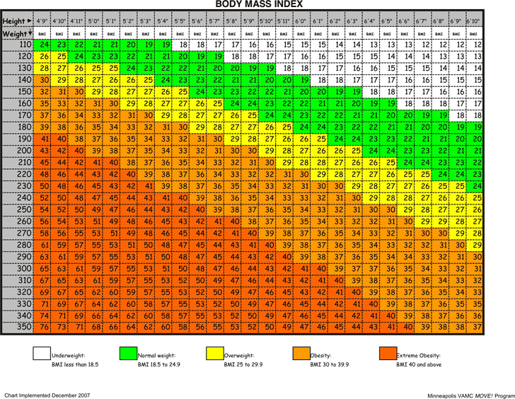 Free Body Mass Index Chart - PDF | 115KB | 2 Page(s)