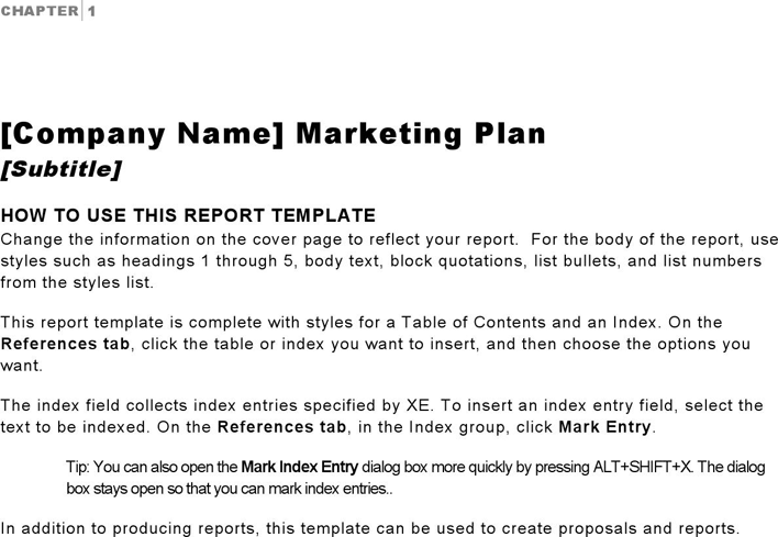 Business Report Template 3 Page 2