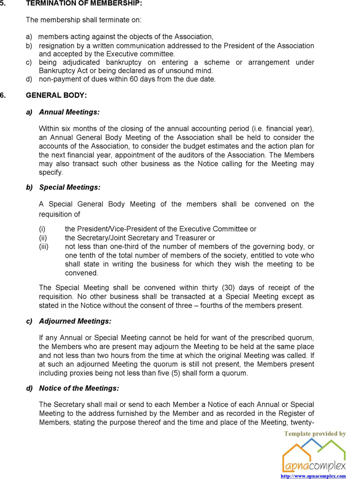Bylaws Template 2 Page 5