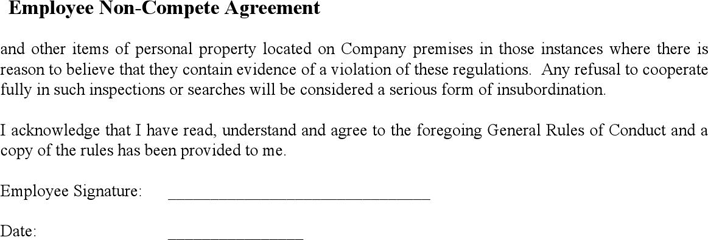 Employee Non-Compete Agreement Page 5