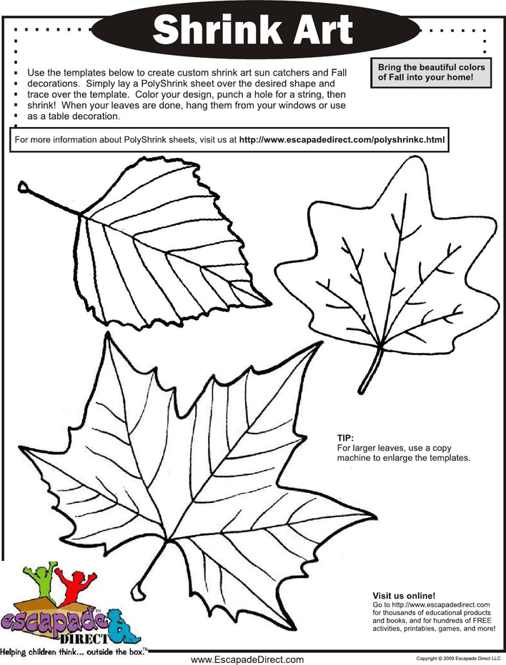 Leaf Template 2 Page 4