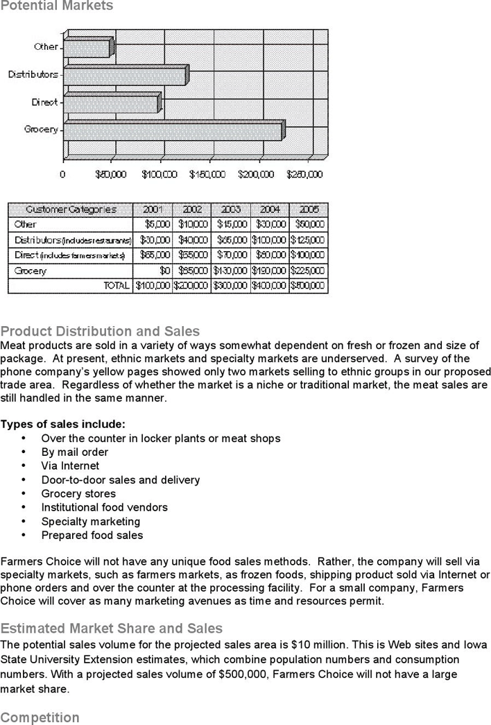 Market Analysis Template 3 Page 5