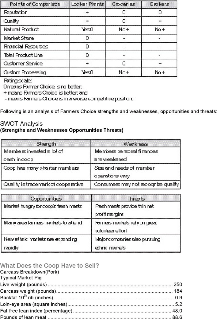 Market Analysis Template 3 Page 7