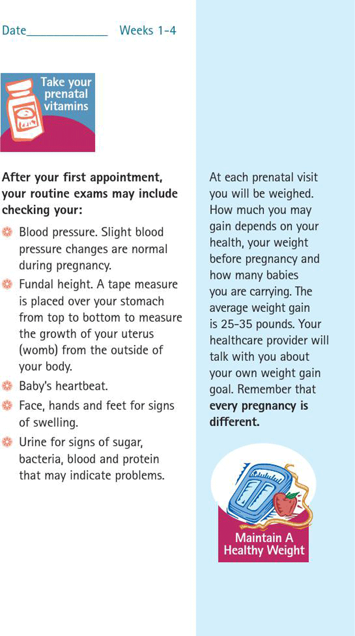 Free Pregnancy Calendar PDF 480KB 28 Page(s) Page 7