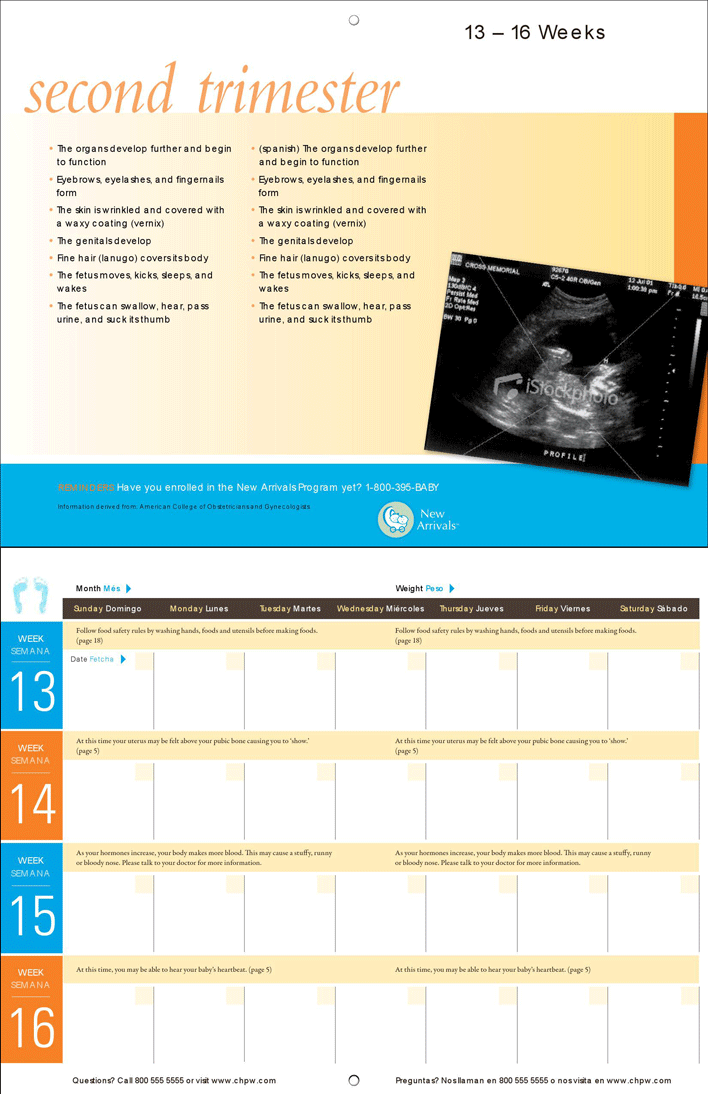 Pregnancy Calendar 2 Page 6