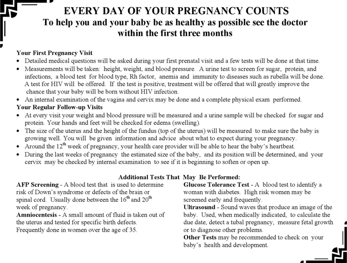 Pregnancy Calendar 3 Page 6
