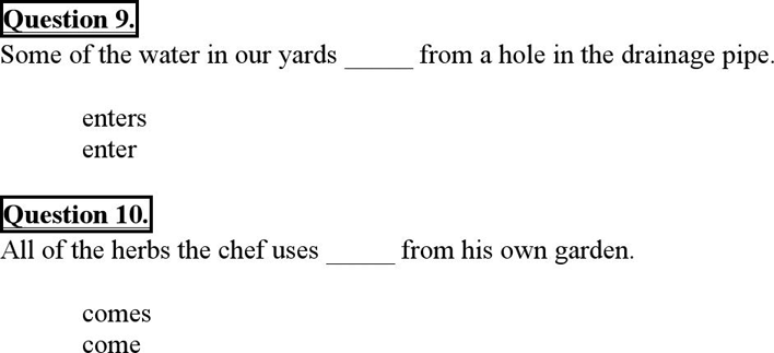 Subject-Verb Agreement Exercises 2 Page 6